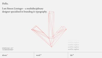 Simon Liesinger - a multidisciplinary designer specialised in branding & typography. · Simon Liesinger